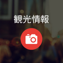 観光情報